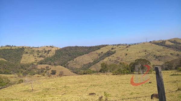 Rural fazenda com 4 quartos - Bairro Centro em Nova Tebas - Foto 12
