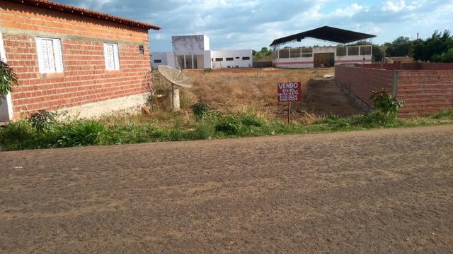 Terreno - São João da Serra PI - Foto 2