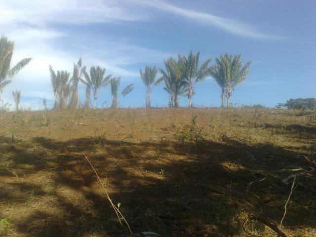 Fazenda Com Nascentes, 800 m de rio e Mata Atlântica Preserevada - Foto 5