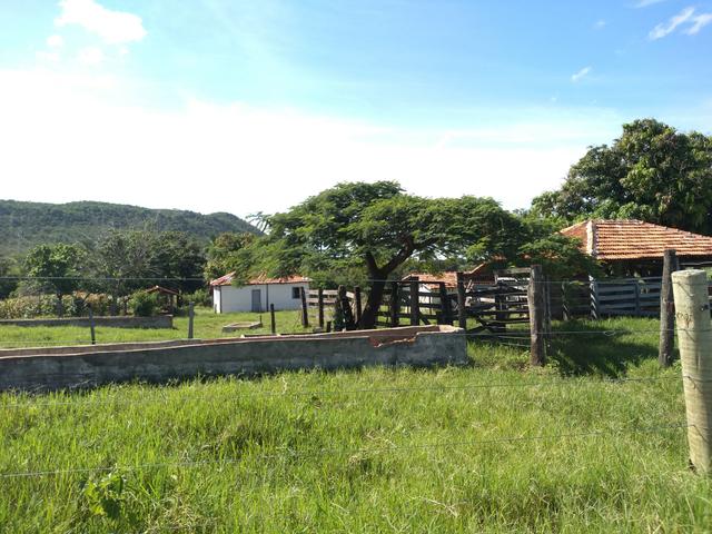 Sitio 41 hect. a 12 km de Unaí
