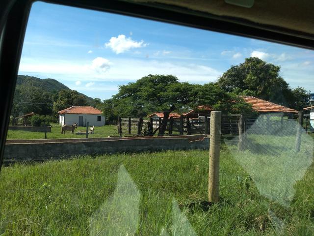 Sitio 41 hect. a 12 km de Unaí - Foto 2