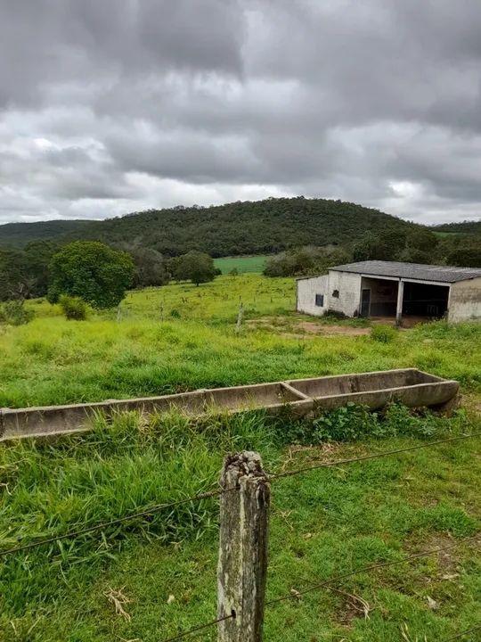 Fazenda de 135 alqueires em Alto Paraiso-GO - Foto 5