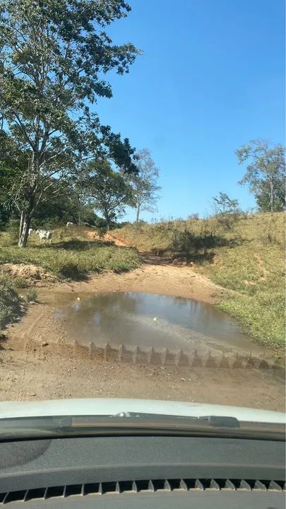 Fazenda município de Cocalzinho-go - Foto 5