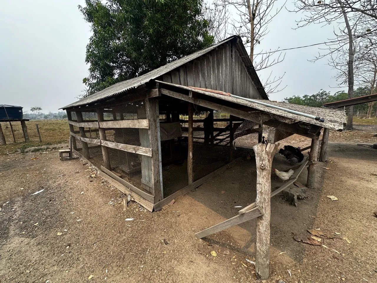  Vendo uma colônia de 15 hectares, no ramal da alcobras no km15  - Foto 14