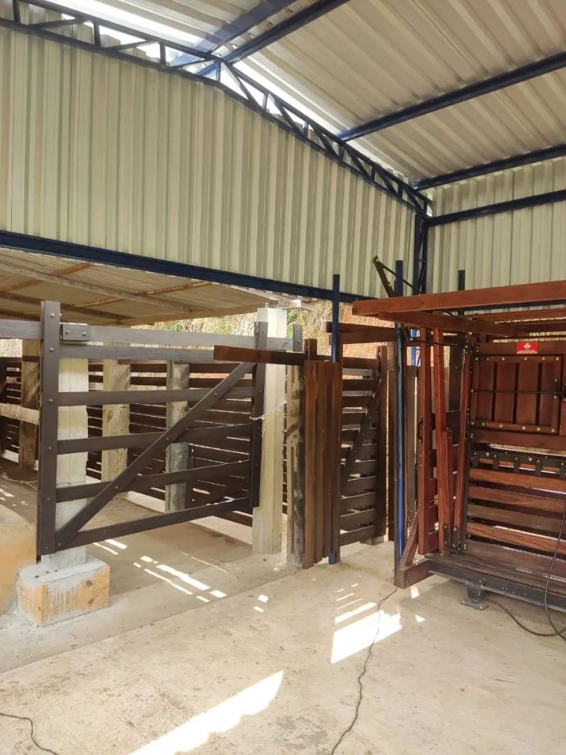 Paraíba do Sul - 11.5 alqueires. Oportunidade única! - Foto 6