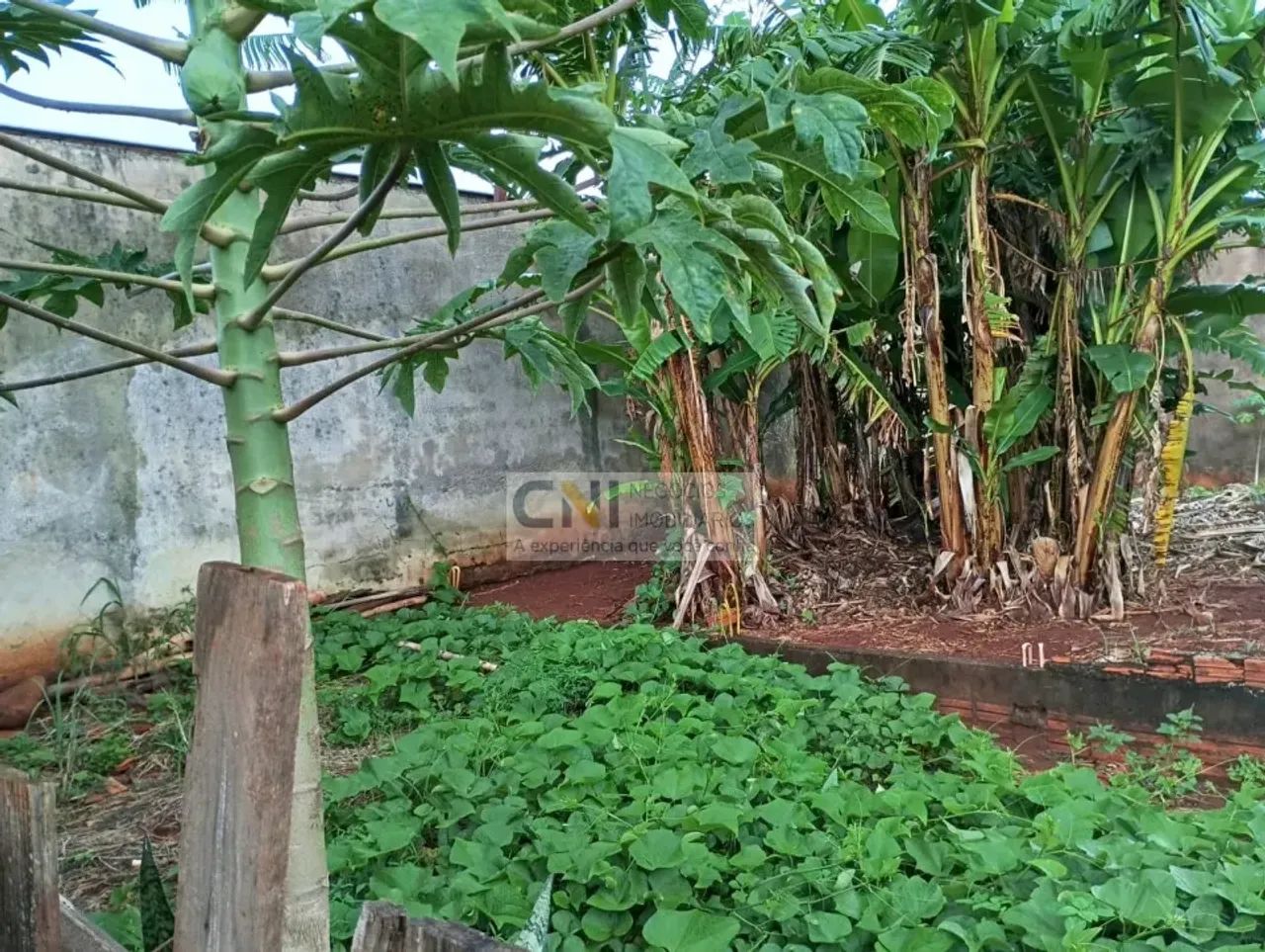 TERRENO NO ABUSSAFE - Foto 2