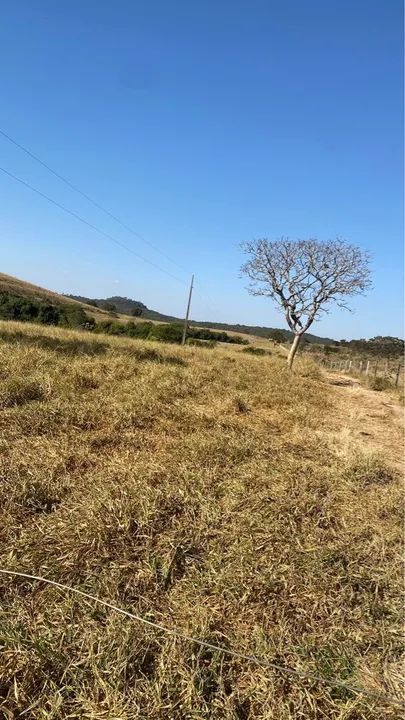 Fazenda município de Cocalzinho-go - Foto 4