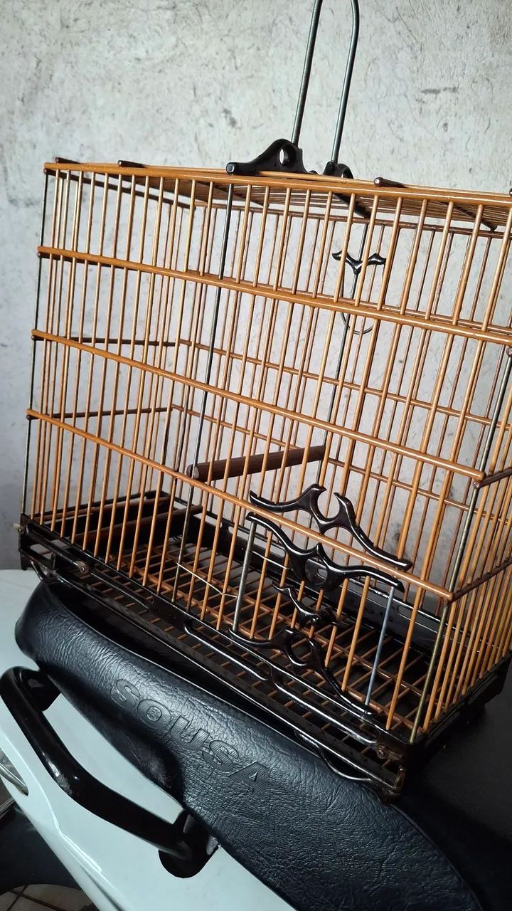 Semi-standard cage64304560434305124