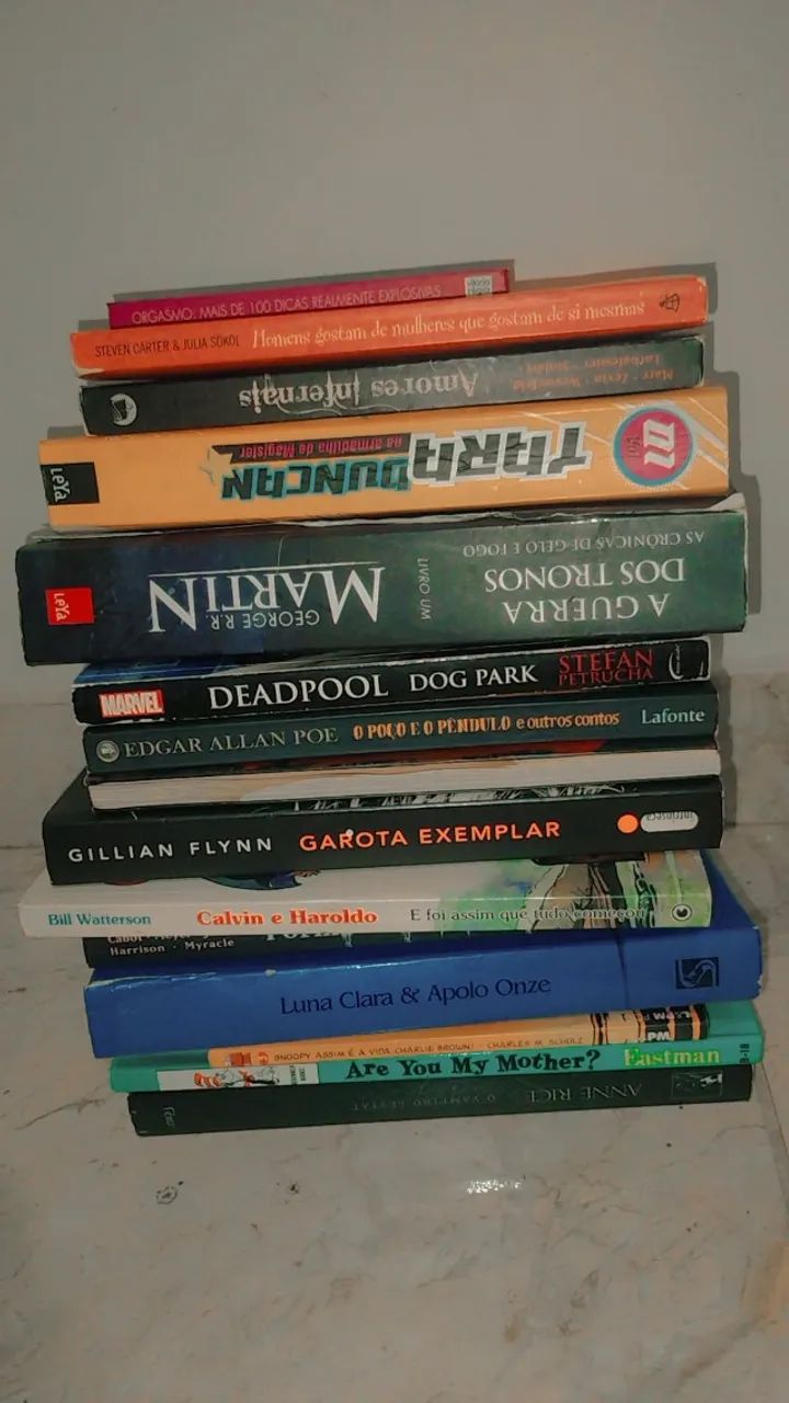 Livros em ótimos estado. Livro em Ótimo Estado | Editora Alfaguara Usado 103760205