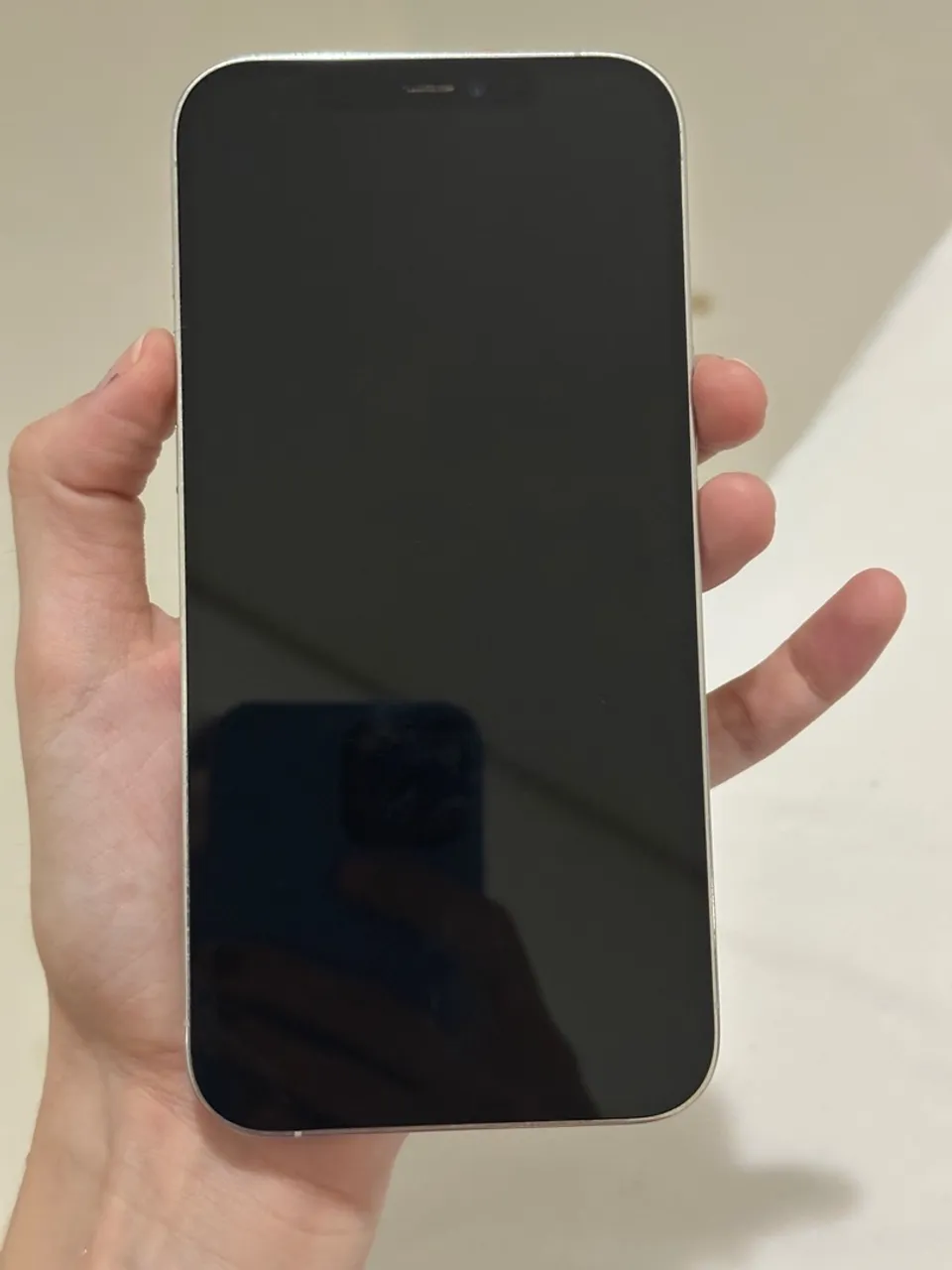 Iphone 12 pro max prata 128gb