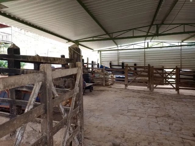 FAZENDA EM CRAVOLÂNDIA - 750 TAREFAS - Foto 3