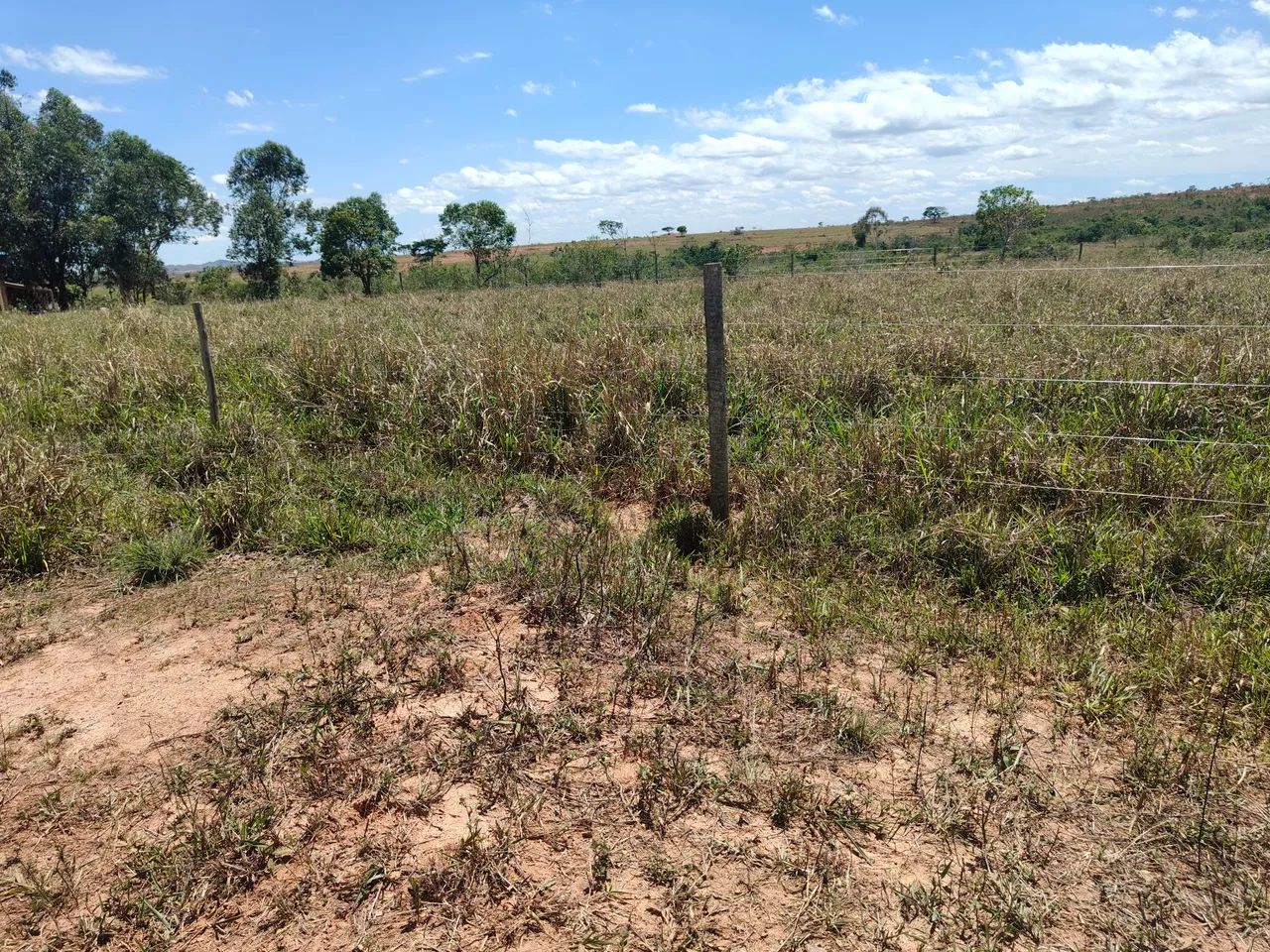 FAZENDA COM 100HECTARES PLANA, ÓTIMO PREÇO!! - Foto 2