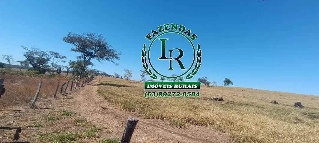 Fazenda Pecuária, Área 116 alqueires, Próximo a Palmas