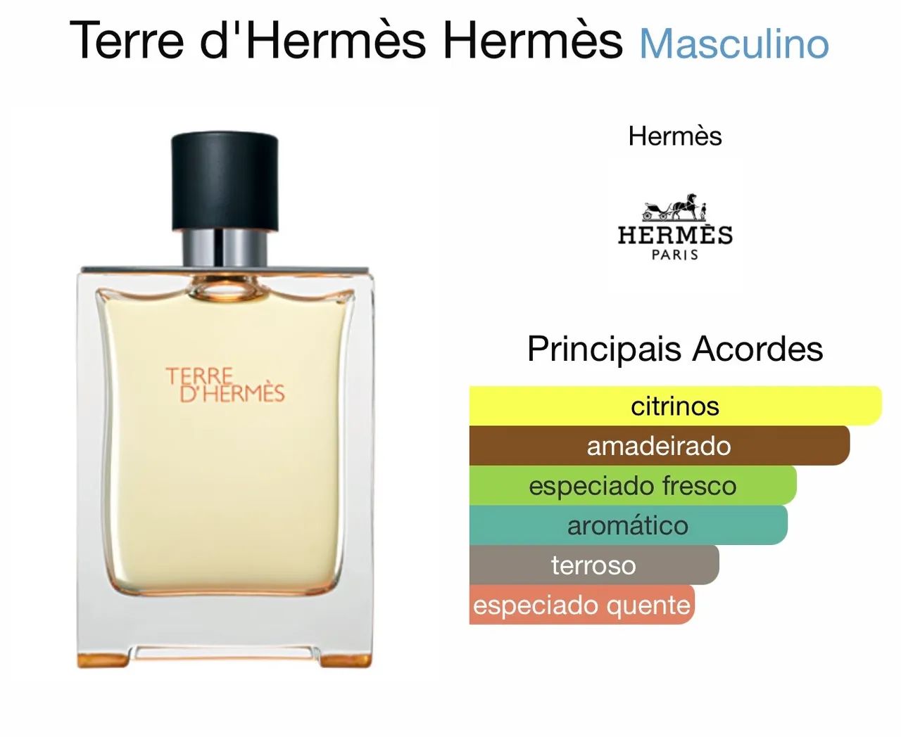Perfume Terre D Hermès 100ml edt - Foto 3