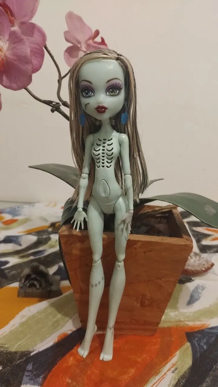 Boneca Frankie Monster Higt 