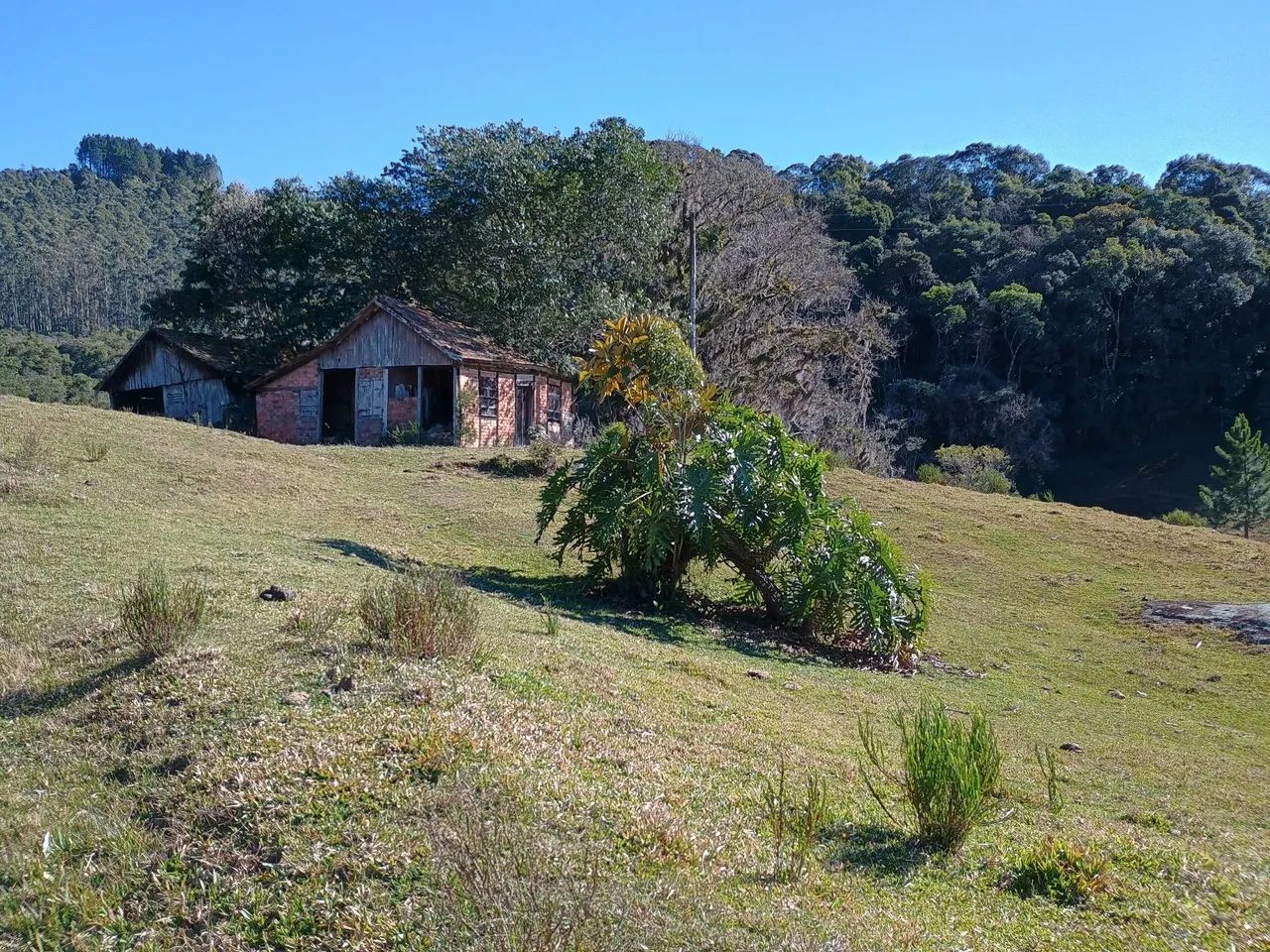 ANITÁPOLIS/SC - Lindo terreno com 28 hectares 