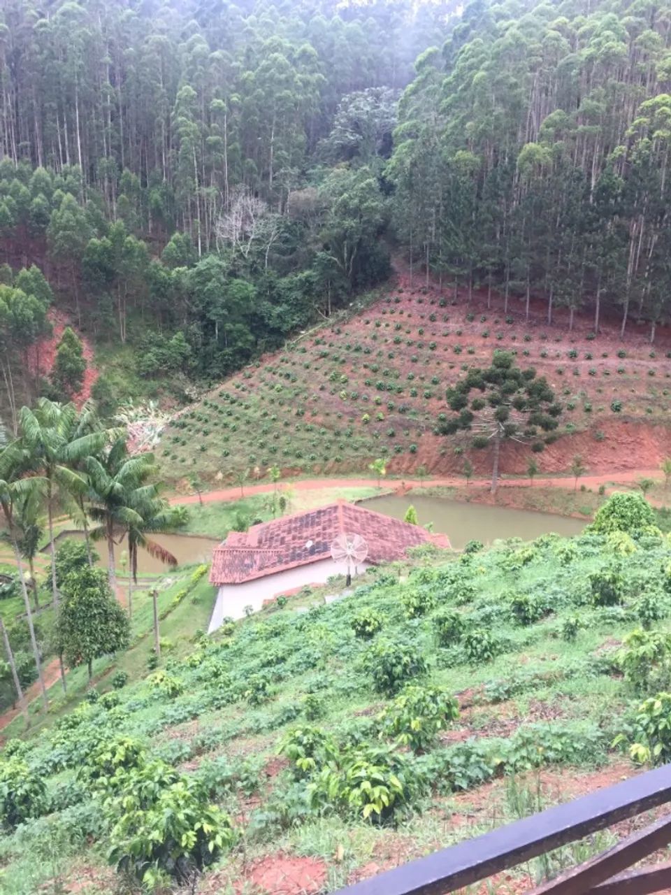SITIO SANTA TERESA - 400.000 m² - Diversas nascentes dentro da propriedade - Foto 2