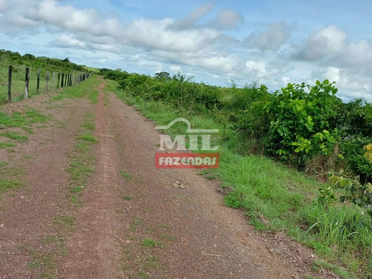 Fazenda 68 alqueires ( 329,8 hectares ) Dueré - TO - Foto 4