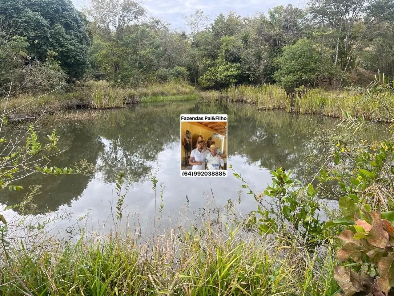sitio bem localizado, com ótimo preço.