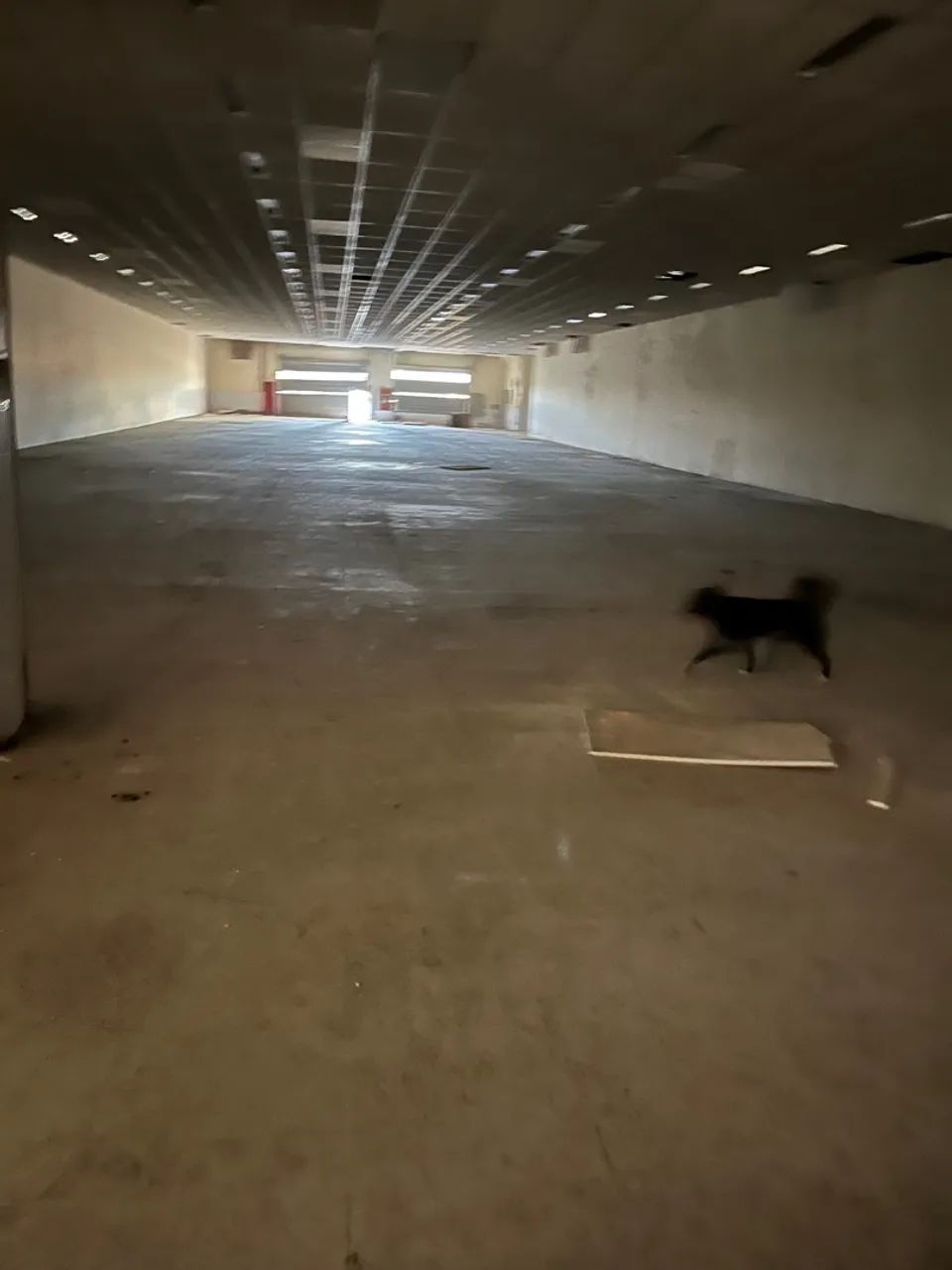 Prédio na Duque de Caxias - Foto 2