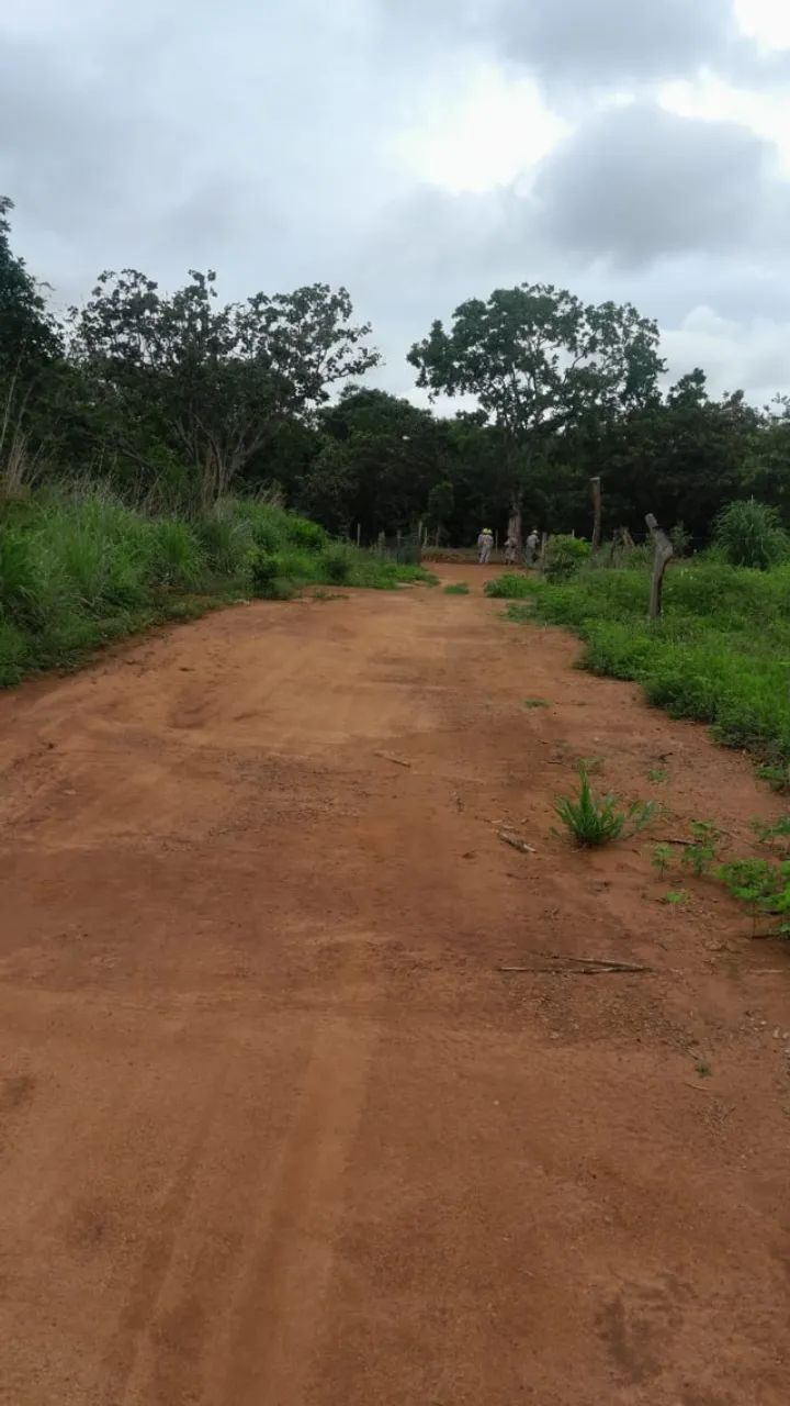 CHÁCARA RURAL EM GURUPI - TO - ACEITA PERMUTA COM IMÓVEIS EM PALMAS - Foto 3
