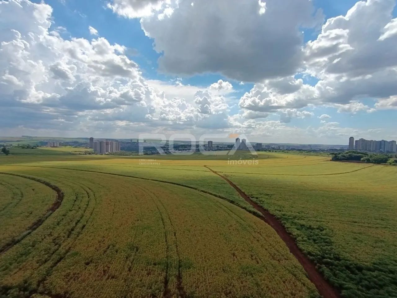 Apartamento Padrão para Alugar na Quinta da Primavera, Ribeirão Preto - Foto 8