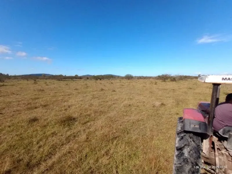 FAZENDA no bairro Lami em PORTO ALEGRE