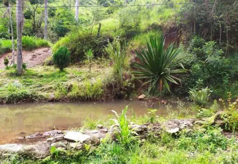 Sítio : / Rural / Zona Rural - Foto 3