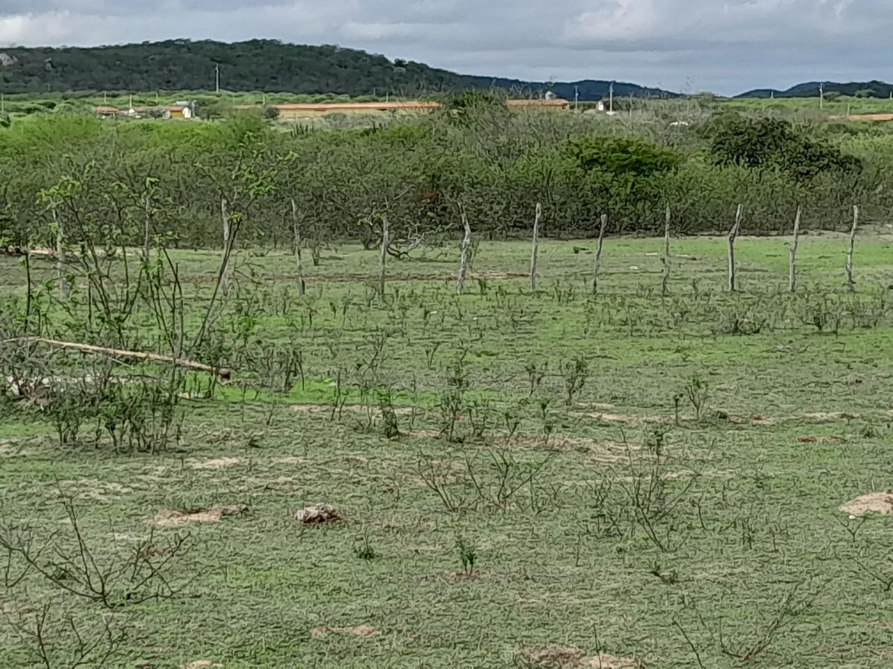 vende-se um sítio  com três  hectares  - Foto 3