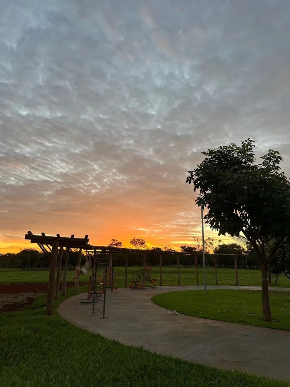 Sítio de recreio paraíso tropical (chácara à venda) - Foto 4