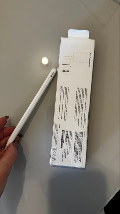 Caneta Pencil apple USB