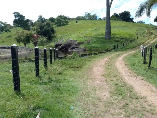 FAZENDA EM CRAVOLÂNDIA - 750 TAREFAS - Foto 5