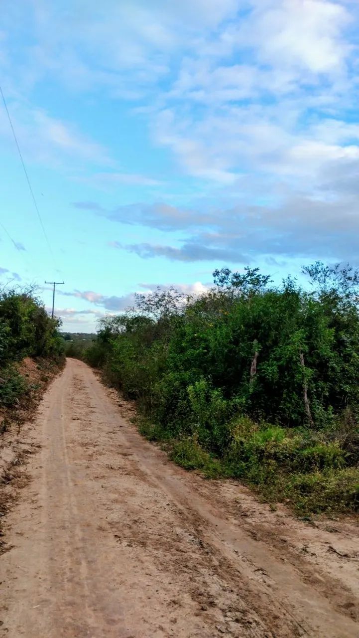 Terreno de 5 Tarefas  - Foto 4