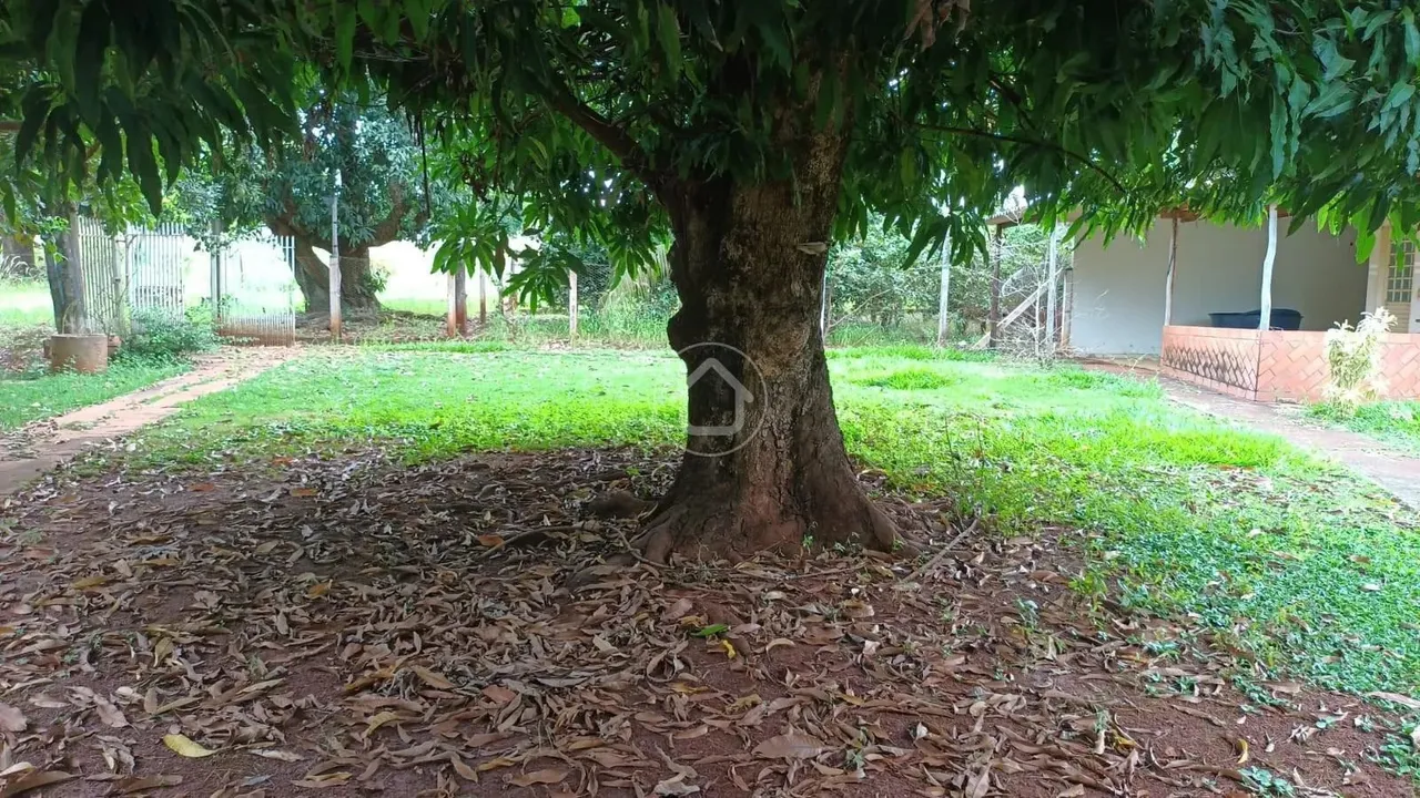CHÁCARA COM 2.4 HECTARÉS EM TERENOS