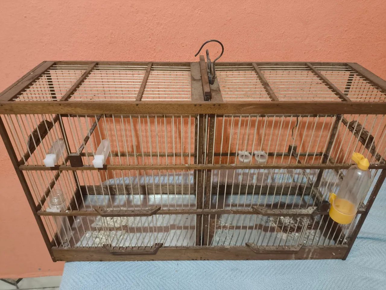 Voador sem coxo  no chão com divisória