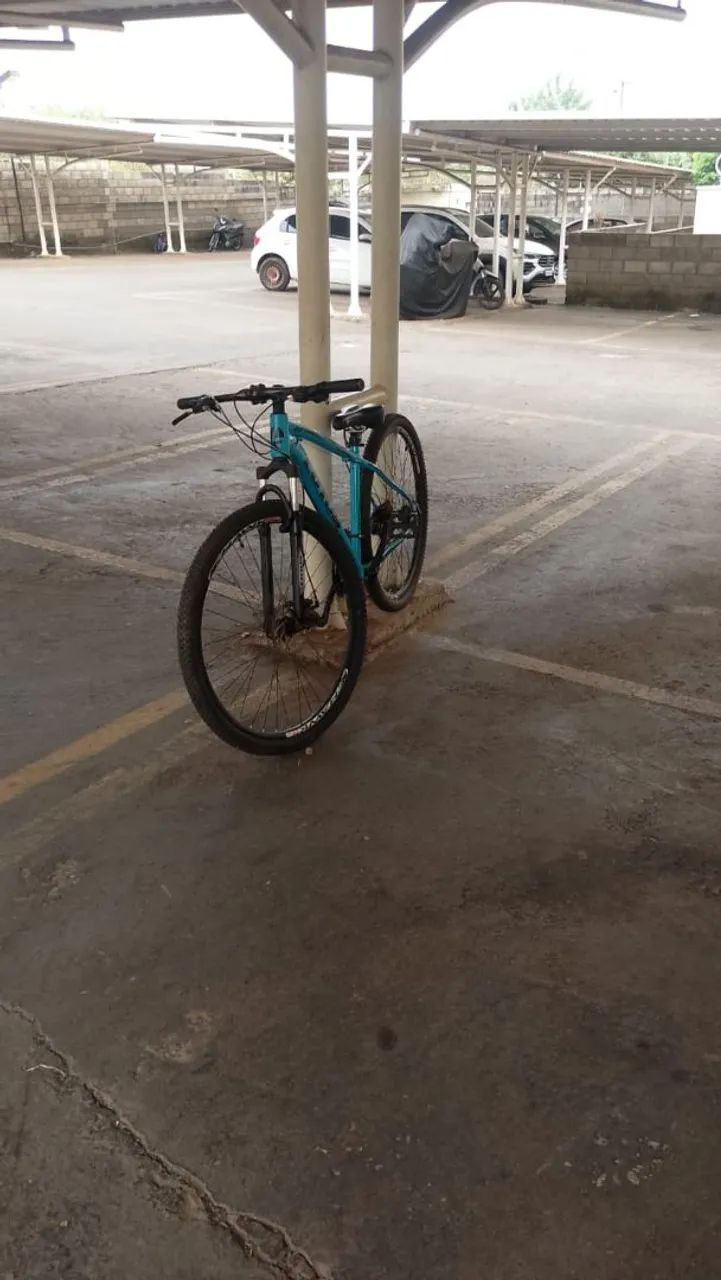 Bicicleta lótus aro 29
