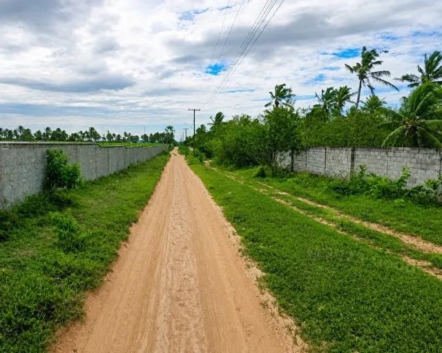 [AF] - TERRENO PLANO e RETANGULAR com 20.000m² em São José de Mipibu!! - Foto 2
