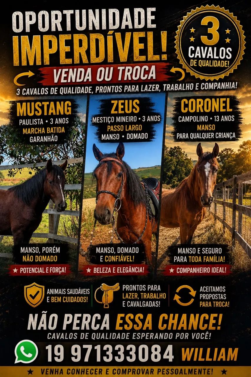 Venda cavalos