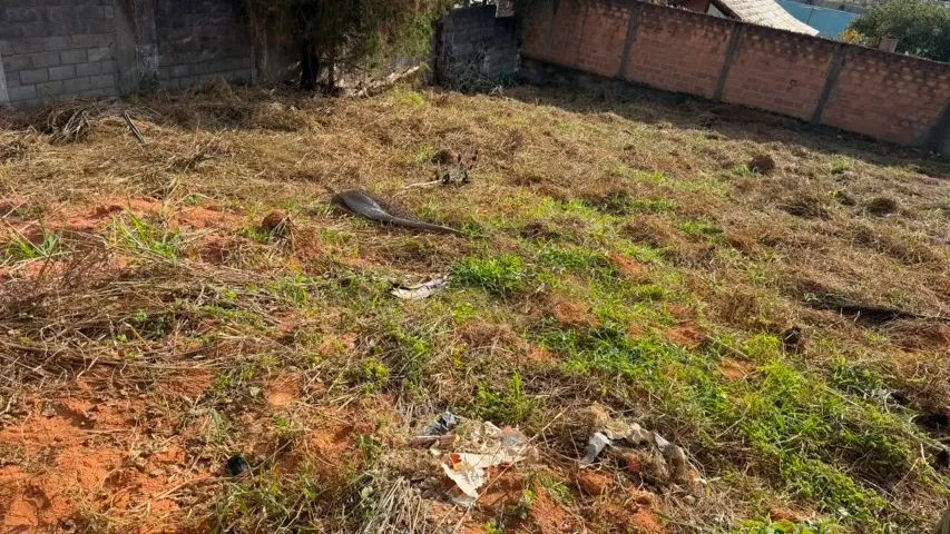 Lote em excelente região da Pampulha 455m2 469.000,00 - Foto 3