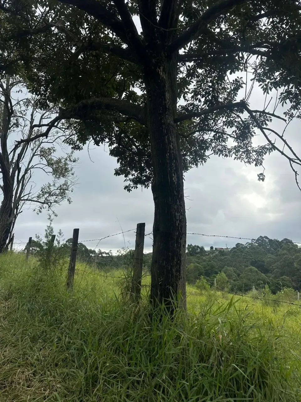 Terreno para venda com 500m2 em Centro - Mairinque - SP - Foto 5