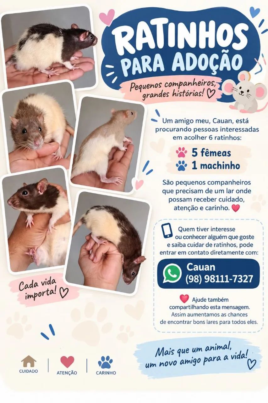Rato petz