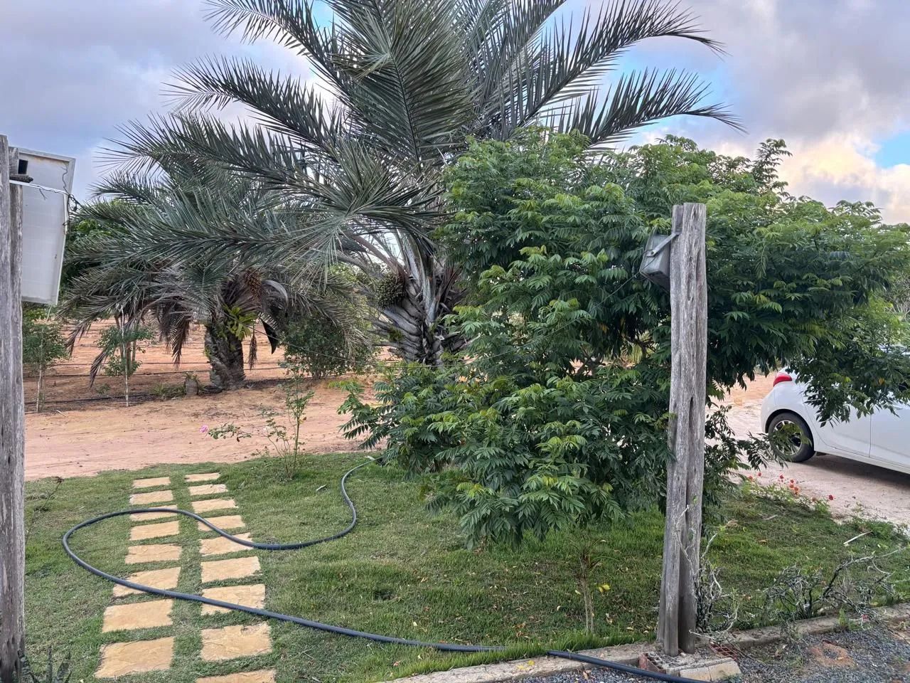 Fazenda em Morro Do chapeu  - Foto 3