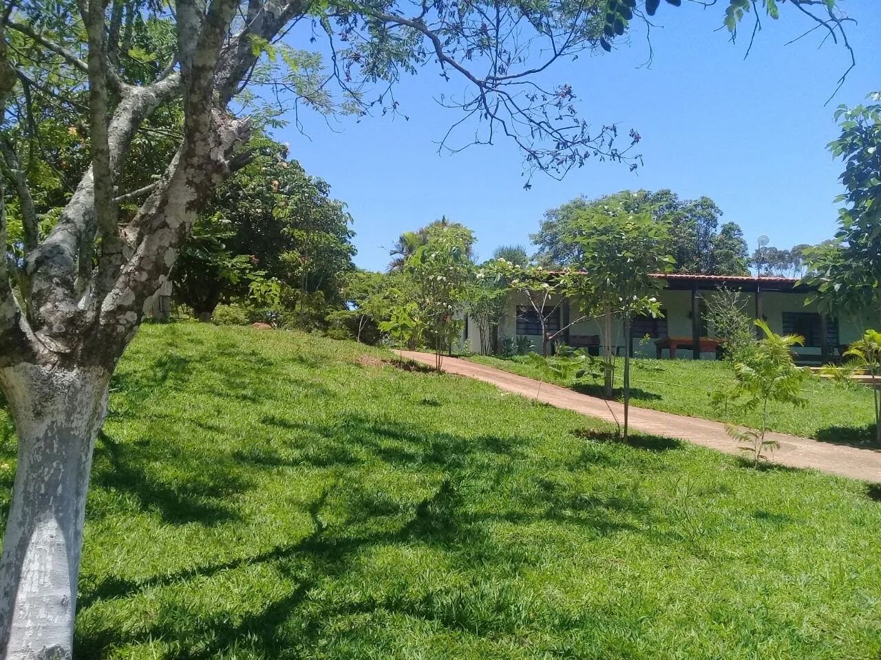 Alugo rancho em Cascalho Rico - Foto 5