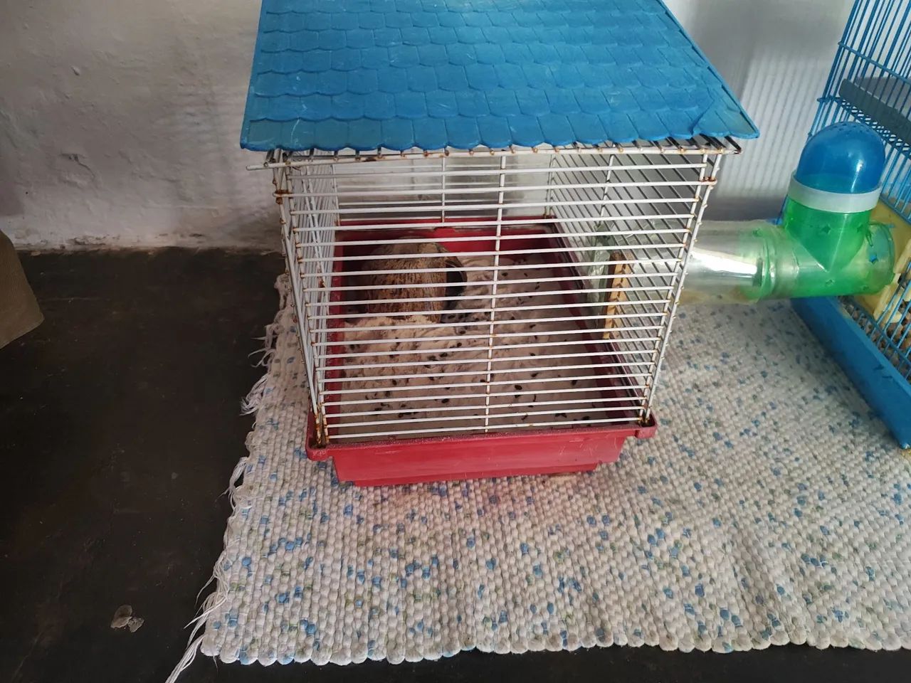 Hamster (gaiolas e túnel) - Foto 5