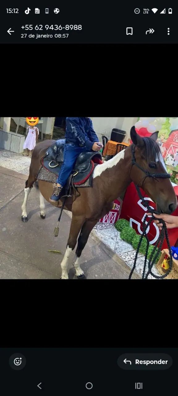 Potro pampa  - Foto 2