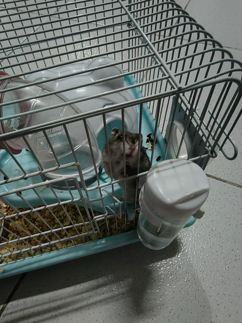 Gaiola com Hamster - Foto 2