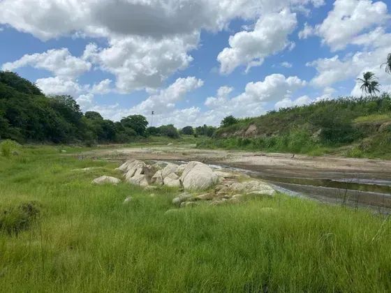 Granja com 20 hectares em Monte Alegre no distrito de comum cortada apelo rio e plantada - Foto 5