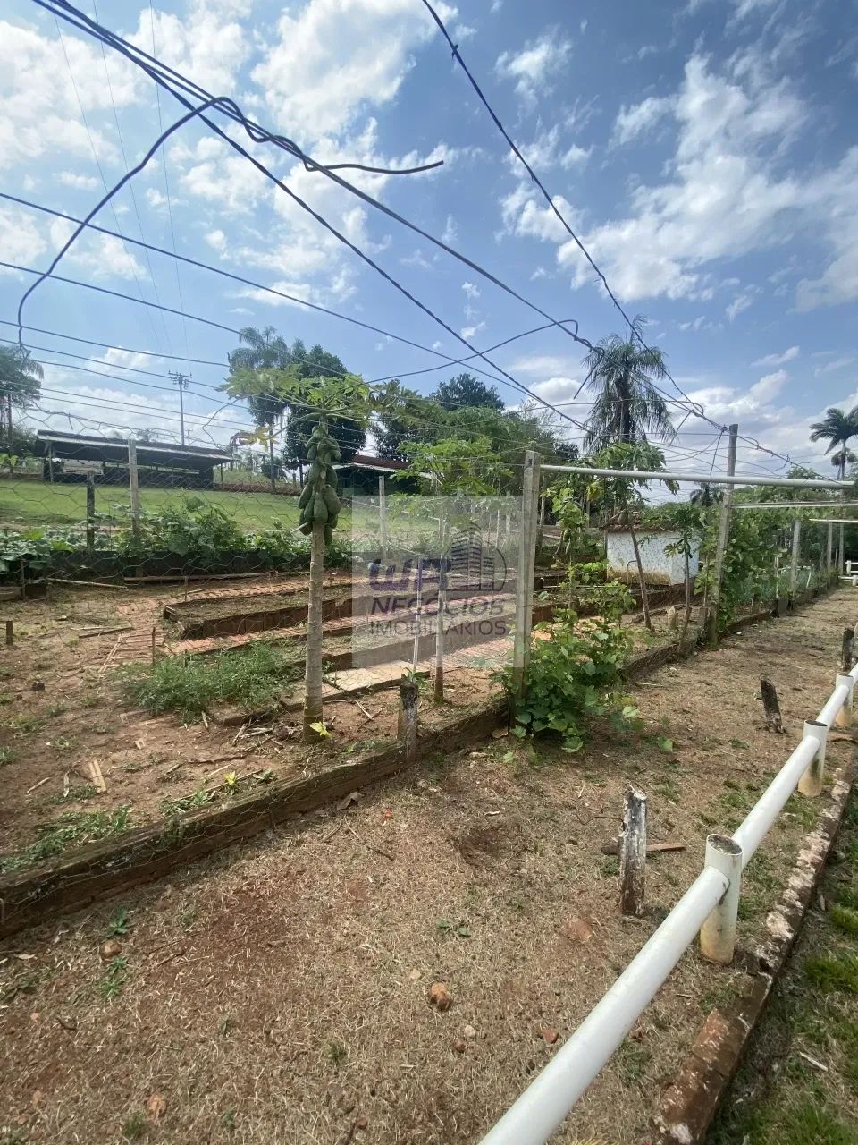 Pousada Beira do Rio Tibagi - Foto 2