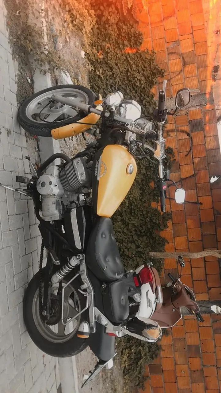Traxx shark 250