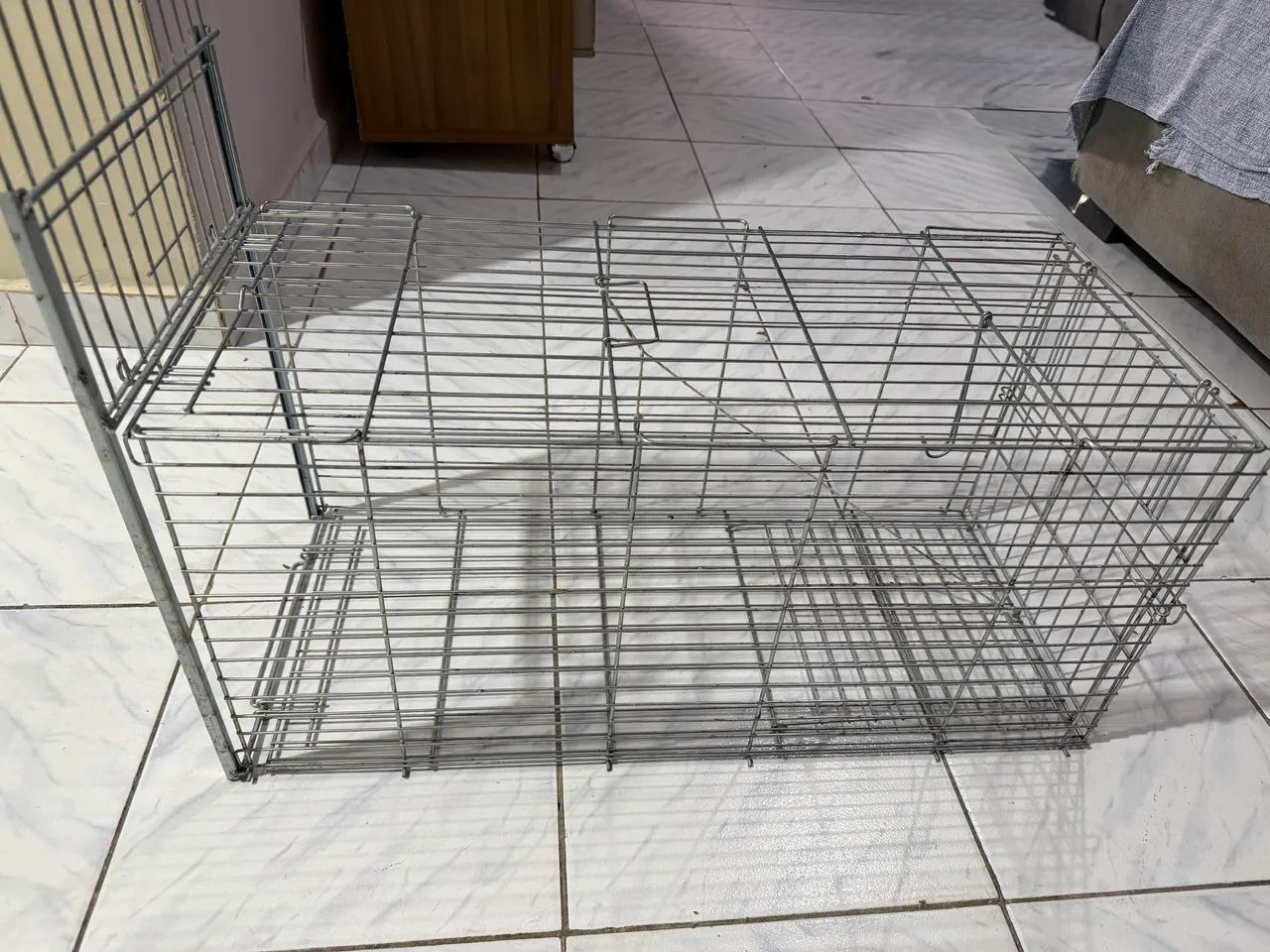 Gatoeira - Foto 2